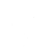 PL NEWS